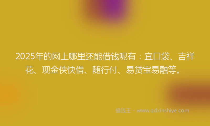 2025年的网上哪里还能借钱呢有：宜口袋、吉祥花、现金侠快借、随行付、易贷宝易融等。
