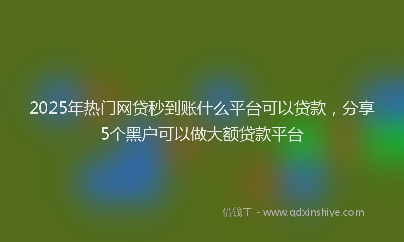 2025年热门网贷秒到账什么平台可以贷款，分享5个黑户可以做大额贷款平台