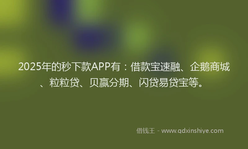 2025年的秒下款APP有:借款宝速融、企鹅商城、粒粒贷、贝赢分期、闪贷易贷宝等。