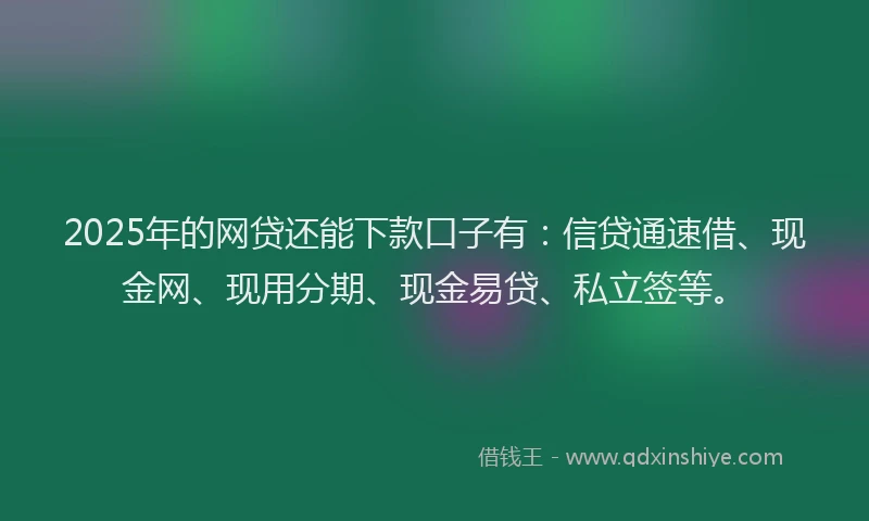 2025年的网贷还能下款口子有：信贷通速借、现金网、现用分期、现金易贷、私立签等。
