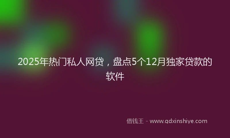 2025年热门私人网贷，盘点5个12月独家贷款的软件