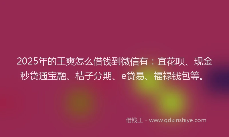 2025年的王爽怎么借钱到微信有：宜花呗、现金秒贷通宝融、桔子分期、e贷易、福禄钱包等。