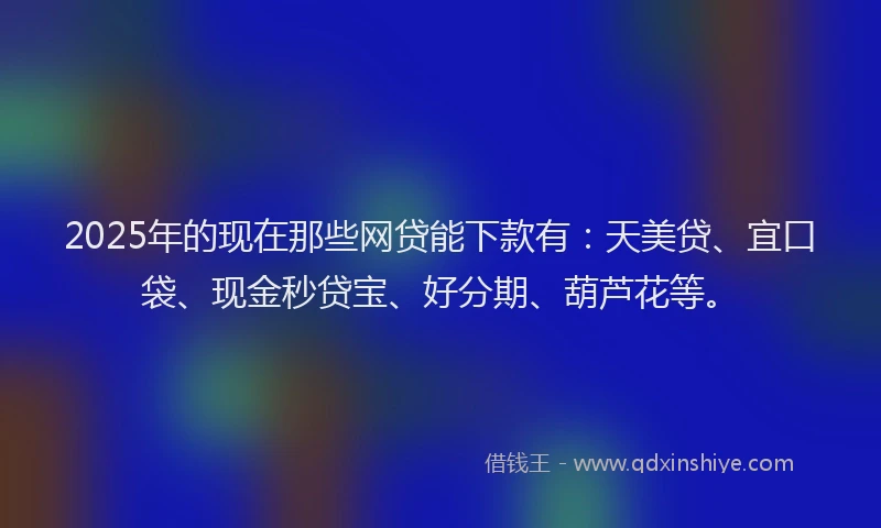 2025年的现在那些网贷能下款有：天美贷、宜口袋、现金秒贷宝、好分期、葫芦花等。