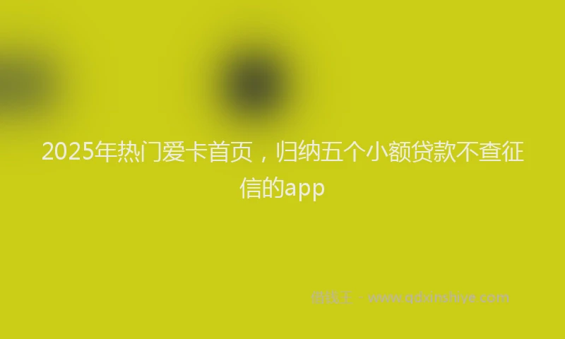 2025年热门爱卡首页，归纳五个小额贷款不查征信的app