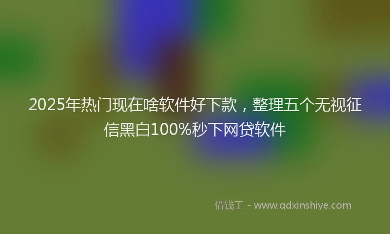 2025年热门现在啥软件好下款,整理五个无视征信黑白100%秒下网贷软件