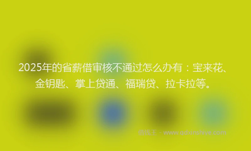 2025年的省薪借审核不通过怎么办有：宝来花、金钥匙、掌上贷通、福瑞贷、拉卡拉等。