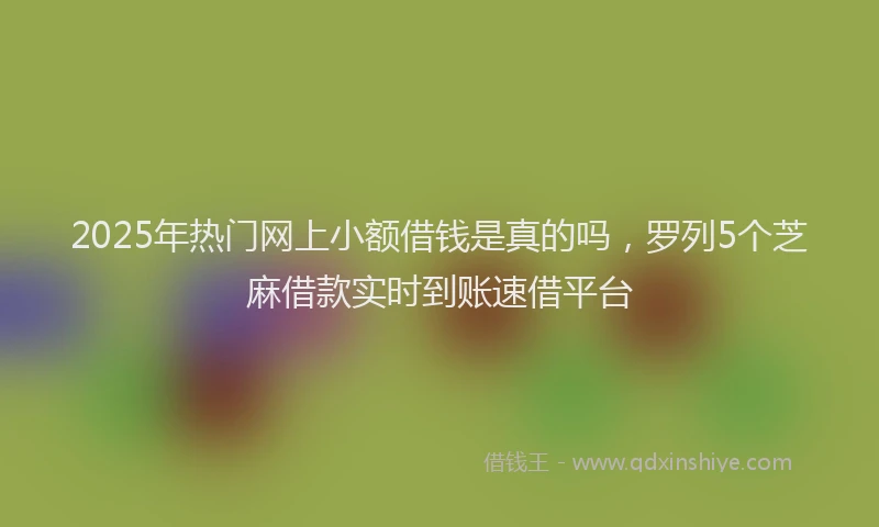 2025年热门网上小额借钱是真的吗，罗列5个芝麻借款实时到账速借平台
