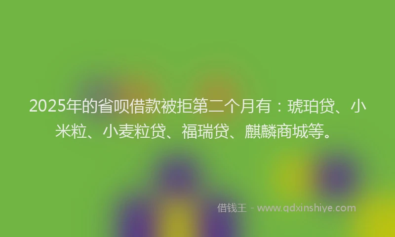 2025年的省呗借款被拒第二个月有：琥珀贷、小米粒、小麦粒贷、福瑞贷、麒麟商城等。