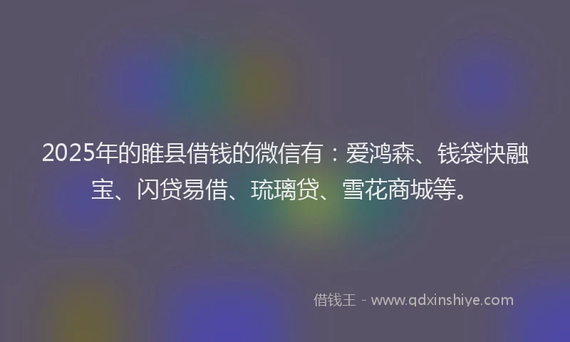 2025年的睢县借钱的微信有：爱鸿森、钱袋快融宝、闪贷易借、琉璃贷、雪花商城等。