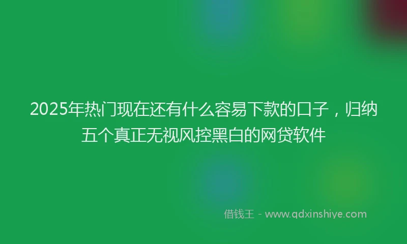 2025年热门现在还有什么容易下款的口子，归纳五个真正无视风控黑白的网贷软件