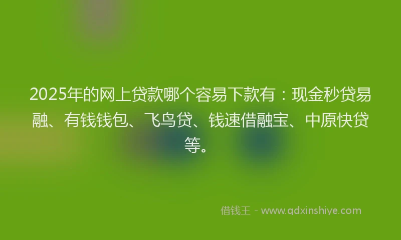 2025年的网上贷款哪个容易下款有:现金秒贷易融、有钱钱包、飞鸟贷、钱速借融宝、中原快贷等。