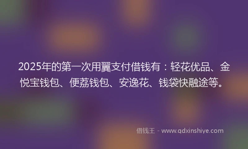 2025年的第一次用翼支付借钱有:轻花优品、金悦宝钱包、便荔钱包、安逸花、钱袋快融途等。