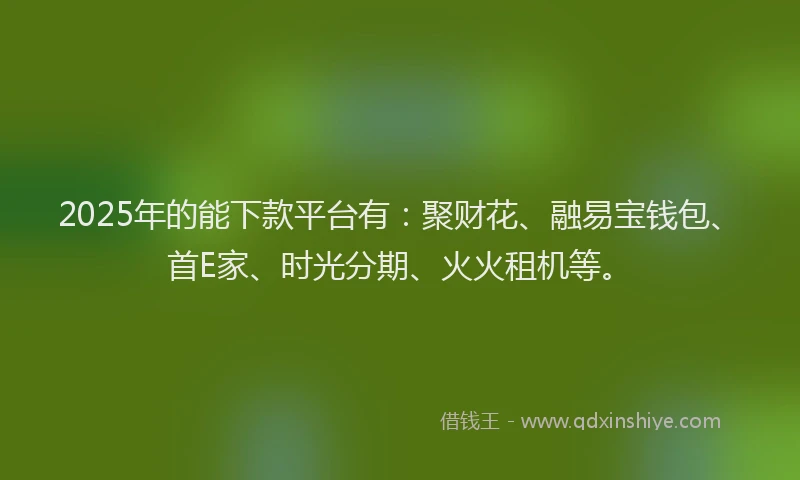2025年的能下款平台有：聚财花、融易宝钱包、首E家、时光分期、火火租机等。