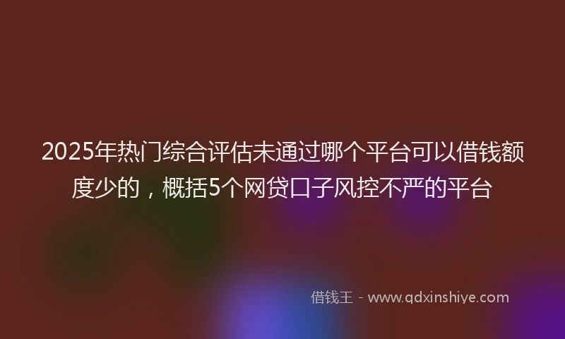 2025年热门综合评估未通过哪个平台可以借钱额度少的，概括5个网贷口子风控不严的平台