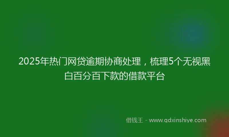 2025年热门网贷逾期协商处理，梳理5个无视黑白百分百下款的借款平台