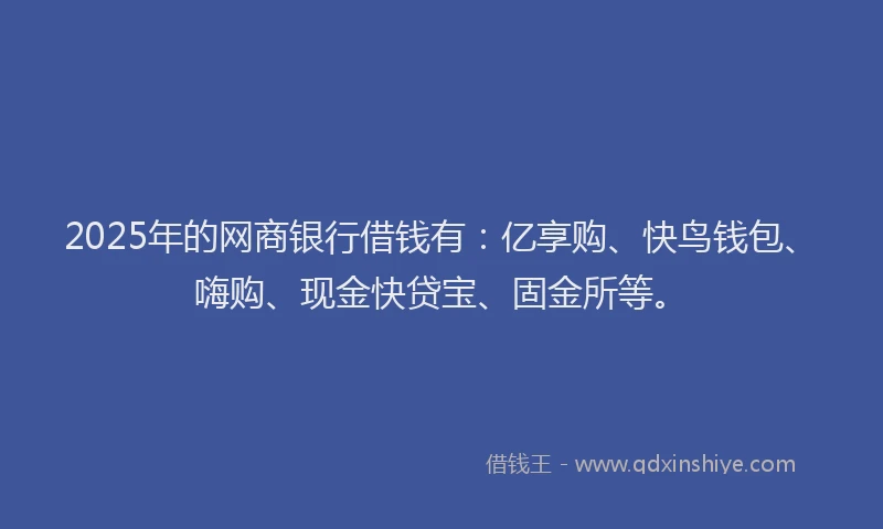 2025年的网商银行借钱有：亿享购、快鸟钱包、嗨购、现金快贷宝、固金所等。