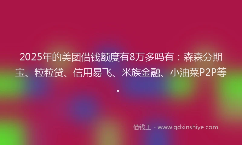 2025年的美团借钱额度有8万多吗有：森森分期宝、粒粒贷、信用易飞、米族金融、小油菜P2P等。