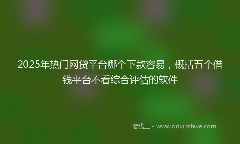 2025年热门网贷平台哪个下款容易,概括五个借钱平台不看综合评估的软件