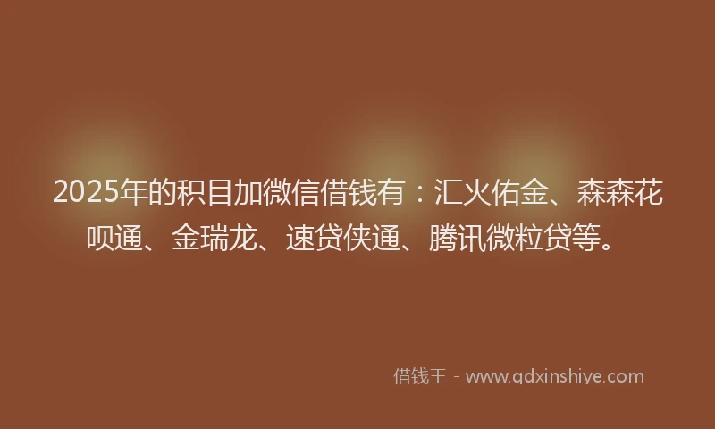 2025年的积目加微信借钱有:汇火佑金、森森花呗通、金瑞龙、速贷侠通、腾讯微粒贷等。