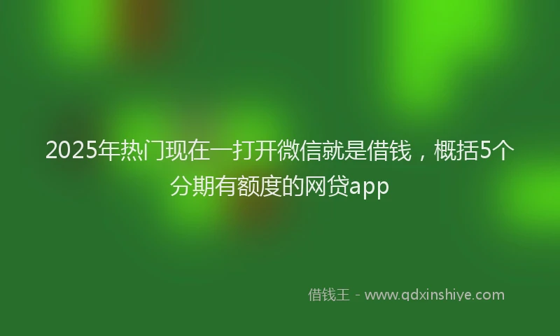 2025年热门现在一打开微信就是借钱，概括5个分期有额度的网贷app