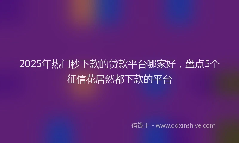 2025年热门秒下款的贷款平台哪家好，盘点5个征信花居然都下款的平台