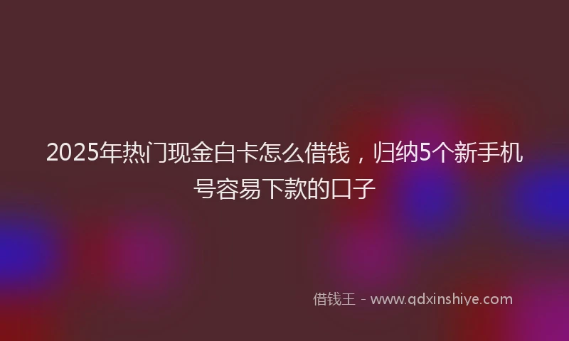 2025年热门现金白卡怎么借钱，归纳5个新手机号容易下款的口子