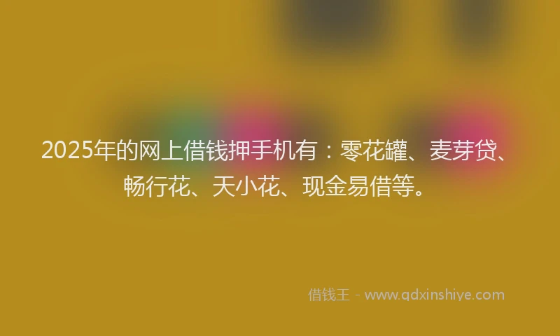 2025年的网上借钱押手机有:零花罐、麦芽贷、畅行花、天小花、现金易借等。