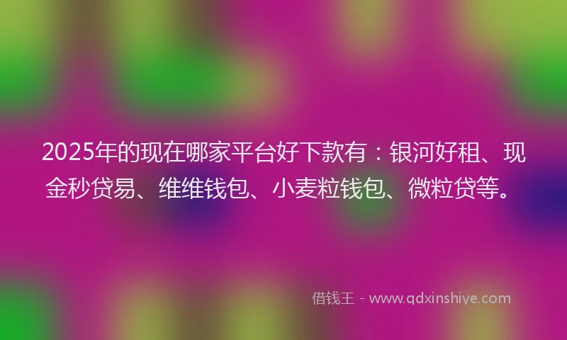 2025年的现在哪家平台好下款有:银河好租、现金秒贷易、维维钱包、小麦粒钱包、微粒贷等。