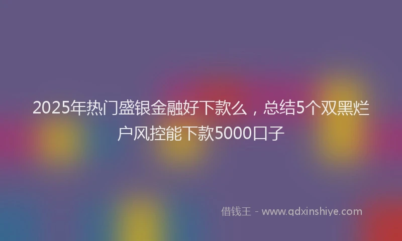 2025年热门盛银金融好下款么，总结5个双黑烂户风控能下款5000口子