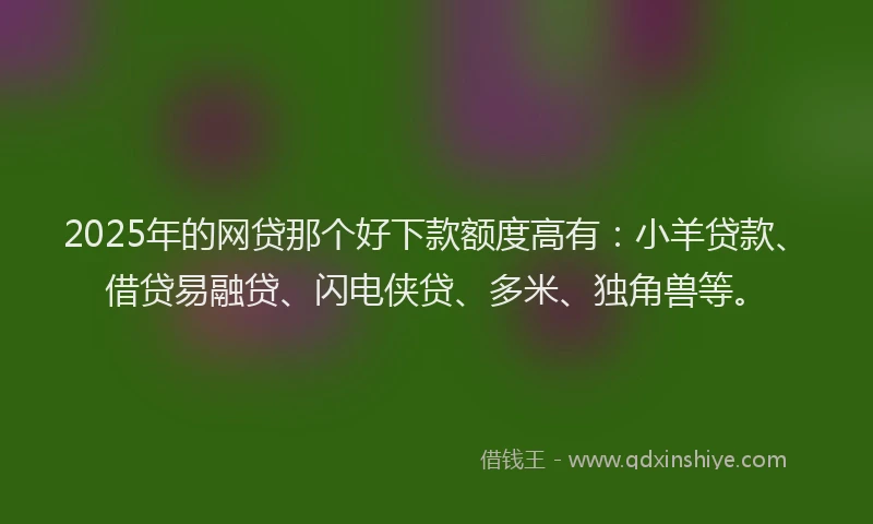 2025年的网贷那个好下款额度高有：小羊贷款、借贷易融贷、闪电侠贷、多米、独角兽等。