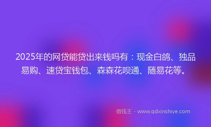 2025年的网贷能贷出来钱吗有：现金白鸽、独品易购、速贷宝钱包、森森花呗通、随易花等。