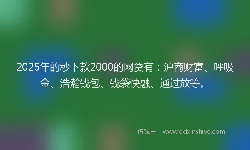 2025年的秒下款2000的网贷有:沪商财富、呼吸金、浩瀚钱包、钱袋快融、通过放等。