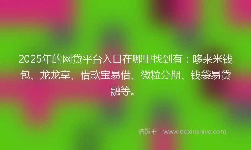 2025年的网贷平台入口在哪里找到有：哆来米钱包、龙龙享、借款宝易借、微粒分期、钱袋易贷融等。