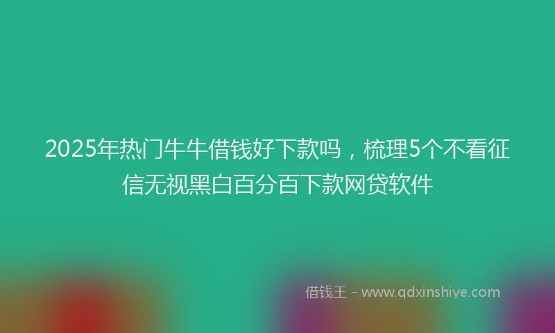 2025年热门牛牛借钱好下款吗，梳理5个不看征信无视黑白百分百下款网贷软件