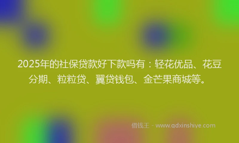 2025年的社保贷款好下款吗有：轻花优品、花豆分期、粒粒贷、翼贷钱包、金芒果商城等。