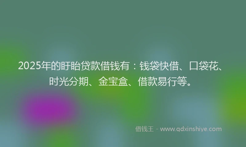2025年的盱眙贷款借钱有：钱袋快借、口袋花、时光分期、金宝盒、借款易行等。