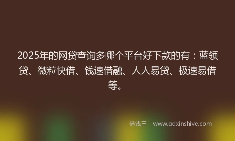 2025年的网贷查询多哪个平台好下款的有:蓝领贷、微粒快借、钱速借融、人人易贷、极速易借等。