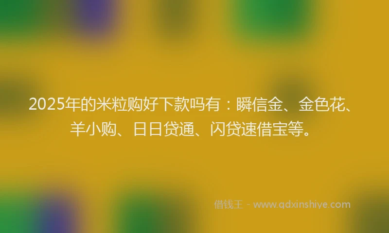 2025年的米粒购好下款吗有：瞬信金、金色花、羊小购、日日贷通、闪贷速借宝等。