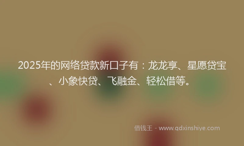 2025年的网络贷款新口子有:龙龙享、星愿贷宝、小象快贷、飞融金、轻松借等。