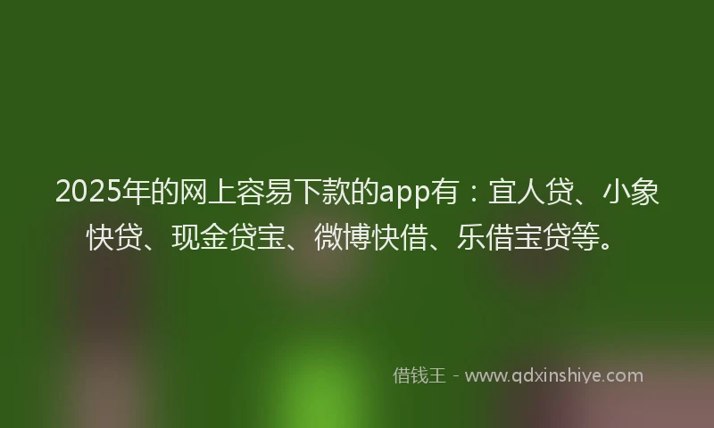 2025年的网上容易下款的app有：宜人贷、小象快贷、现金贷宝、微博快借、乐借宝贷等。