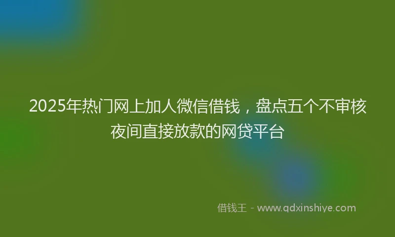 2025年热门网上加人微信借钱，盘点五个不审核夜间直接放款的网贷平台
