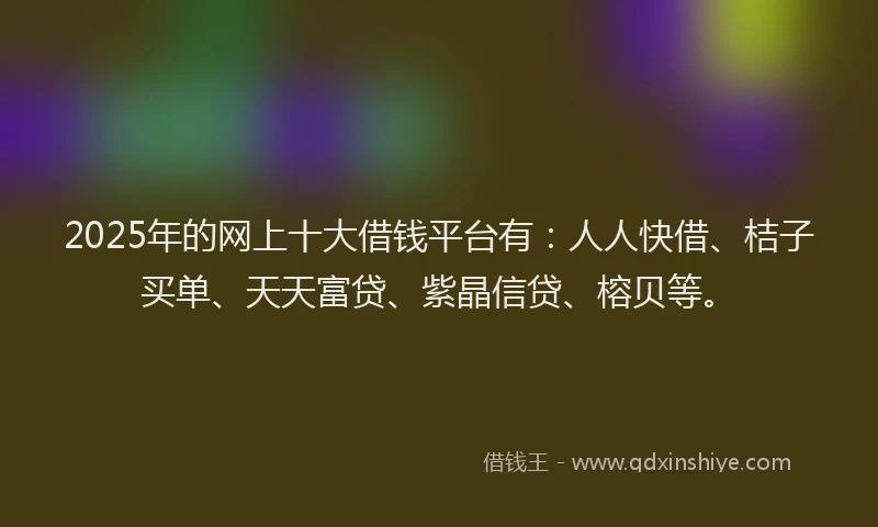 2025年的网上十大借钱平台有：人人快借、桔子买单、天天富贷、紫晶信贷、榕贝等。