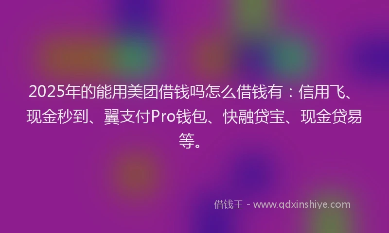 2025年的能用美团借钱吗怎么借钱有：信用飞、现金秒到、翼支付Pro钱包、快融贷宝、现金贷易等。