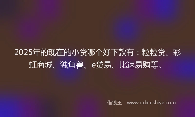 2025年的现在的小贷哪个好下款有：粒粒贷、彩虹商城、独角兽、e贷易、比速易购等。