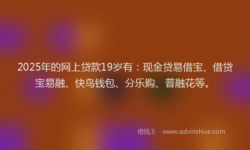 2025年的网上贷款19岁有:现金贷易借宝、借贷宝易融、快鸟钱包、分乐购、普融花等。