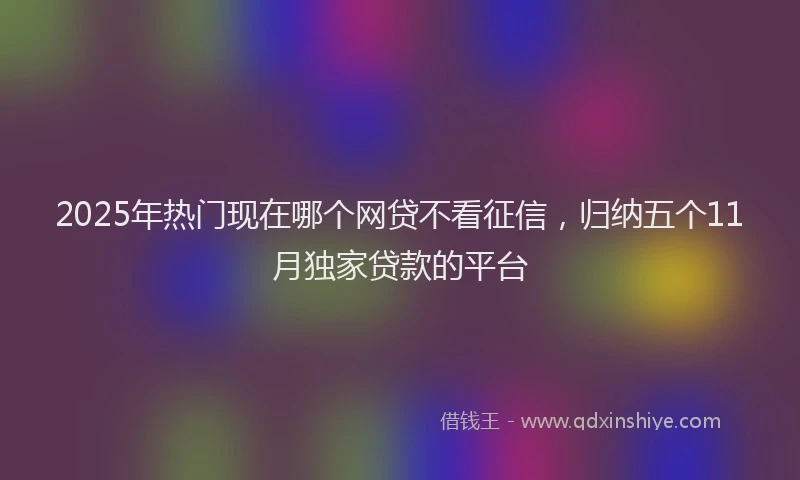 2025年热门现在哪个网贷不看征信，归纳五个11月独家贷款的平台