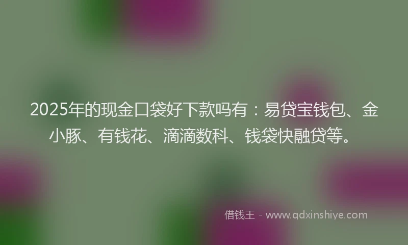 2025年的现金口袋好下款吗有:易贷宝钱包、金小豚、有钱花、滴滴数科、钱袋快融贷等。