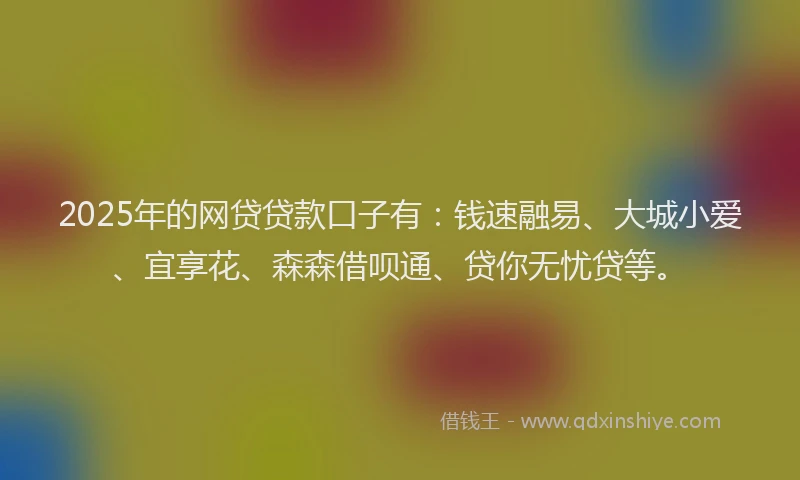 2025年的网贷贷款口子有：钱速融易、大城小爱、宜享花、森森借呗通、贷你无忧贷等。