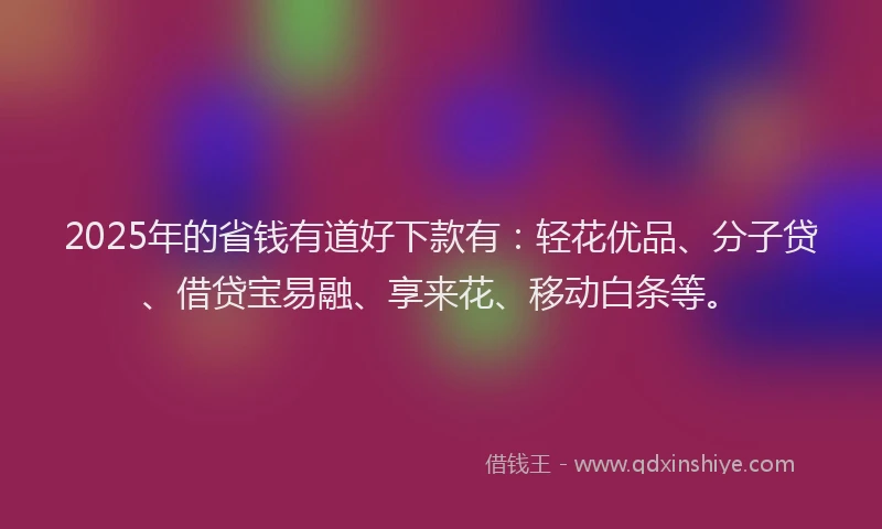 2025年的省钱有道好下款有：轻花优品、分子贷、借贷宝易融、享来花、移动白条等。