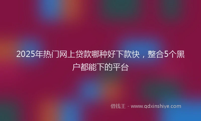 2025年热门网上贷款哪种好下款快,整合5个黑户都能下的平台
